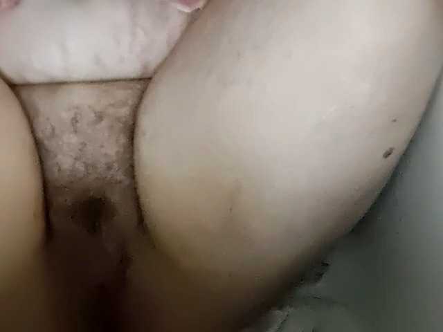 LunarCat54002 live cam preview