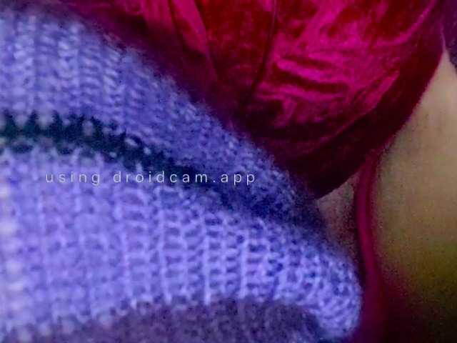 LunarCat54002 live cam preview