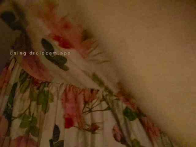 LunarCat54002 webcam