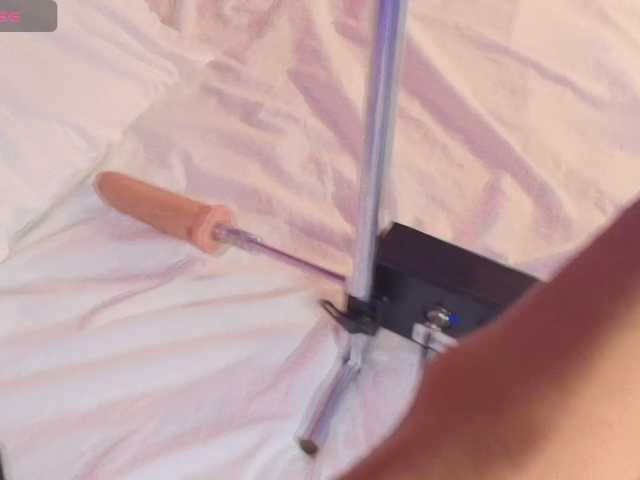 SheylaVega live cam preview