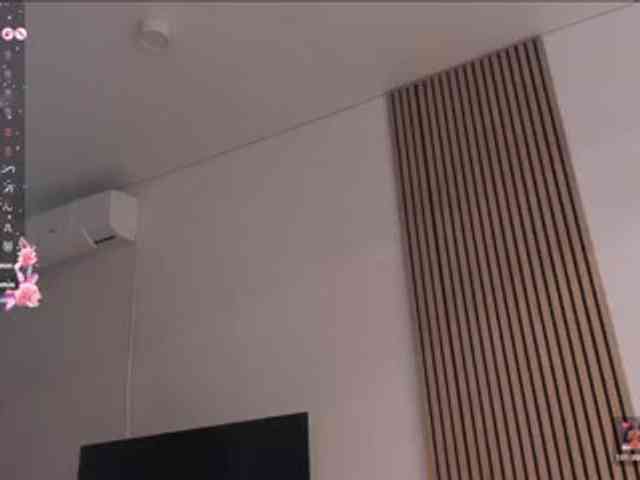 mi_aoki webcam