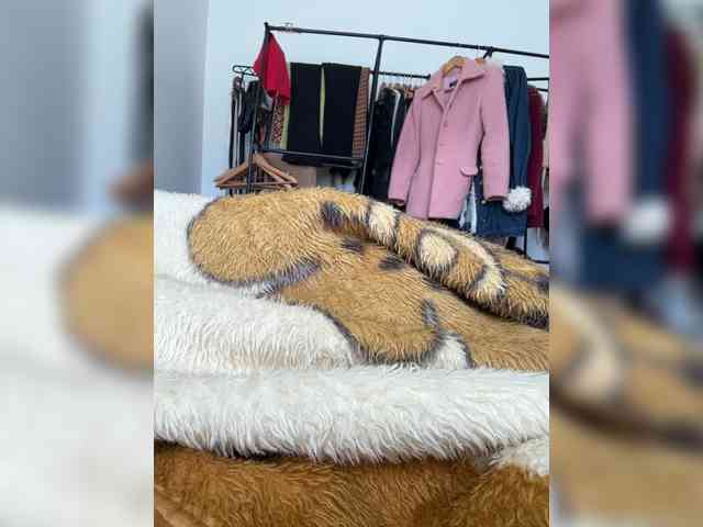Gringaa