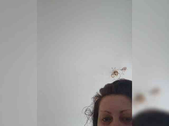 Nolifirsta webcam