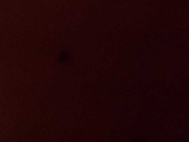 squirterforyou live cam on BongaCams