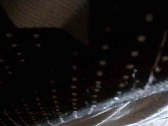 Gianna webcam