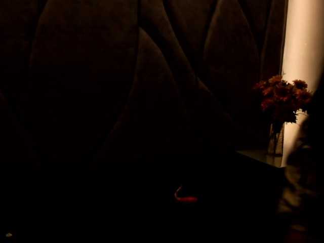 SofiaPetite live cam on BongaCams