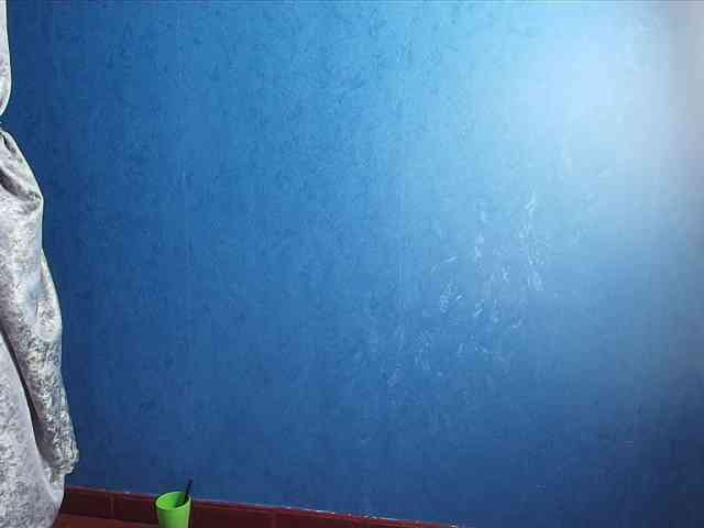 Entine webcam