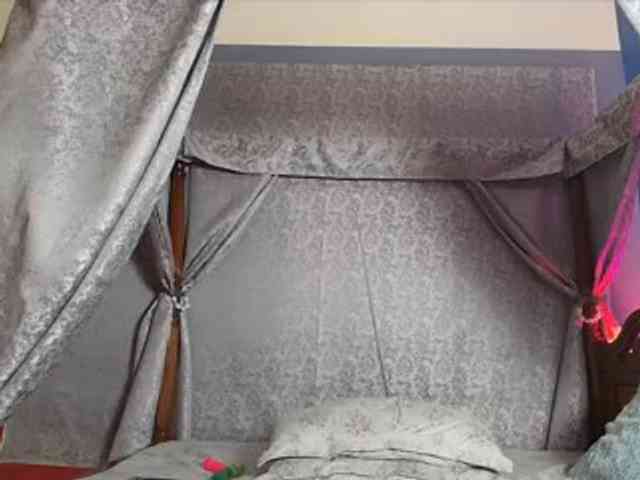 Entine webcam