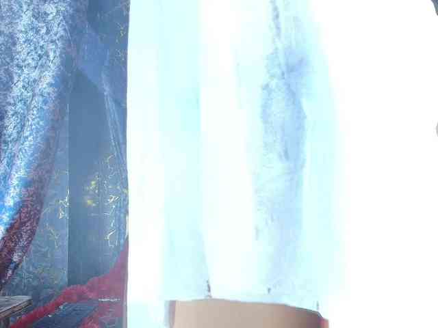 Entine webcam
