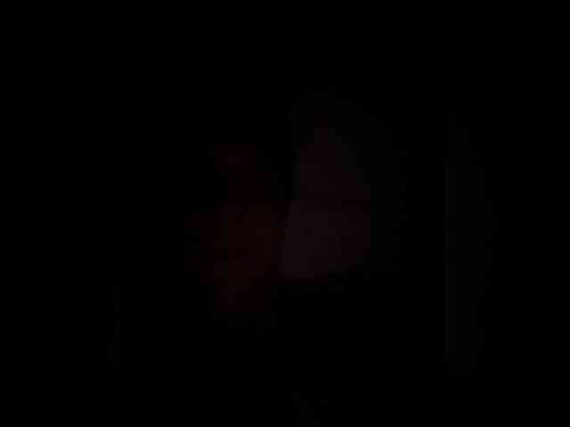 Dominin