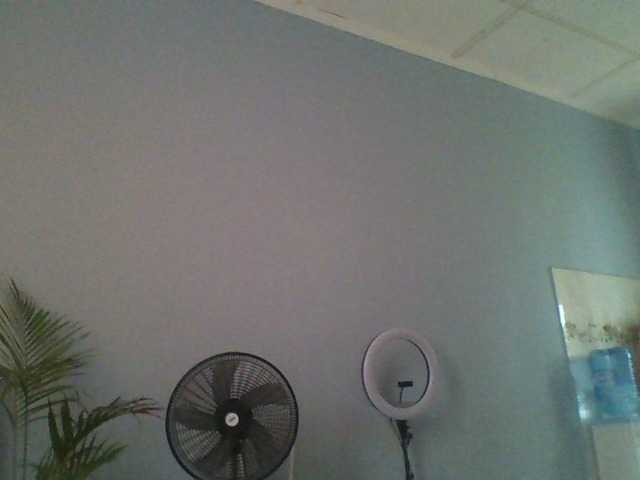 Spotless