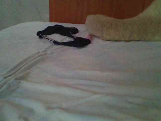Spotless webcam