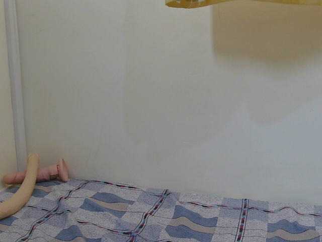 Prettylisah live cam on BongaCams