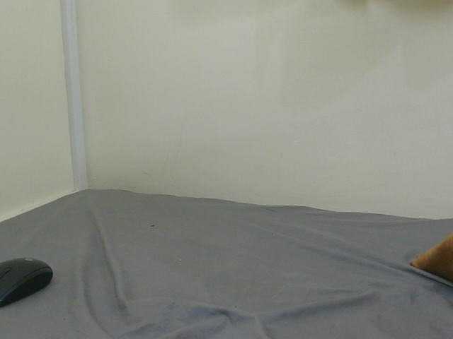 Prettylisah live cam on BongaCams