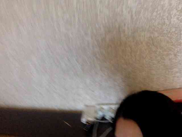 ChristianNetta webcam