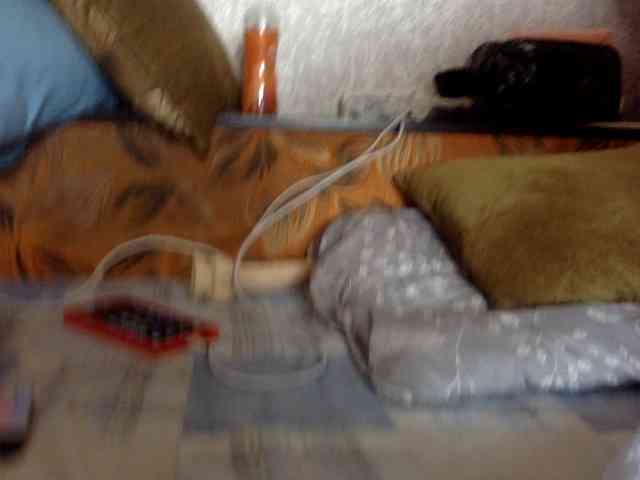 ChristianNetta webcam