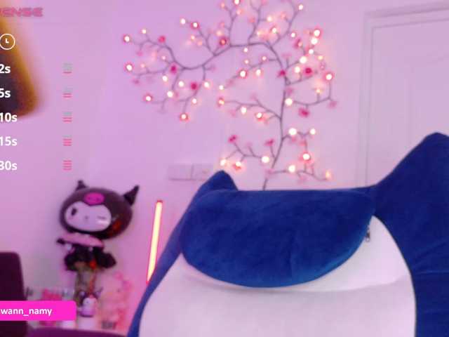 Swannamy live cam preview