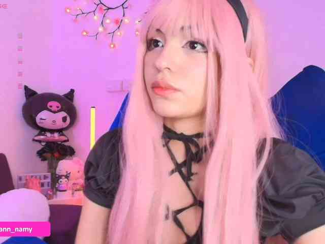 Swannamy webcam