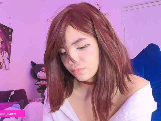 Swannamy webcam