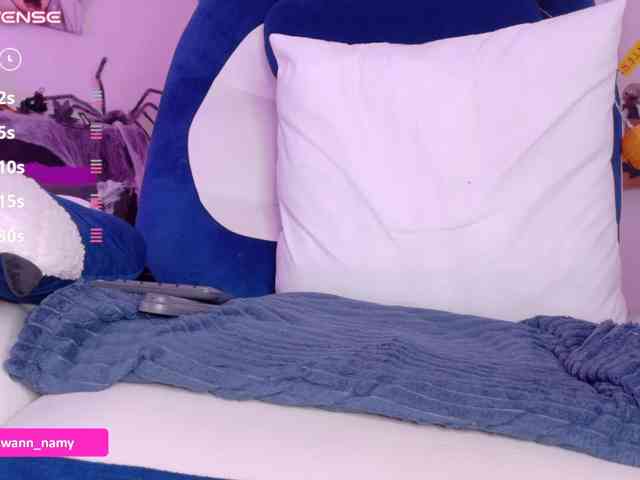 Swannamy webcam
