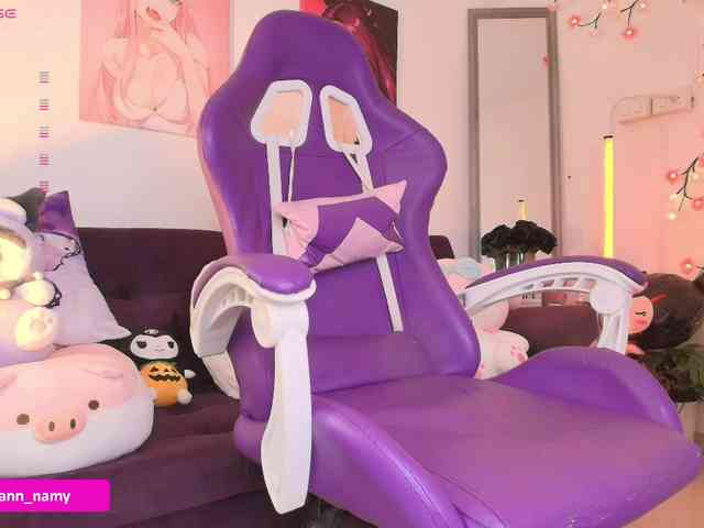 Swannamy webcam