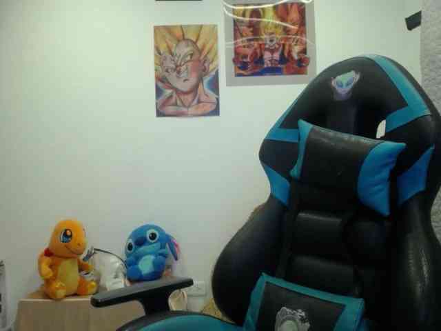 HELSEY webcam
