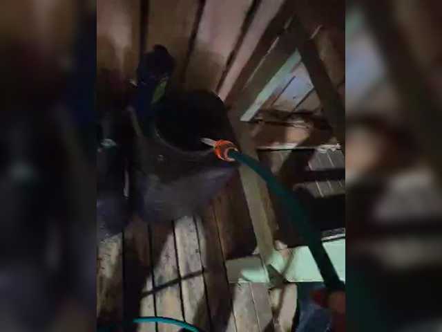 MoLoDoII763