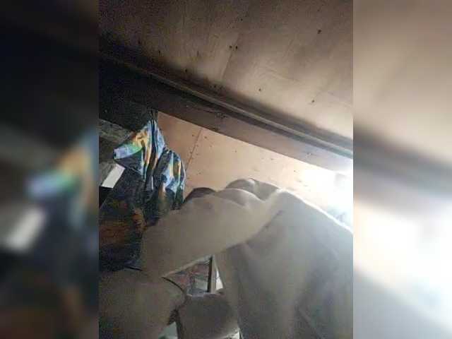 MoLoDoII763
