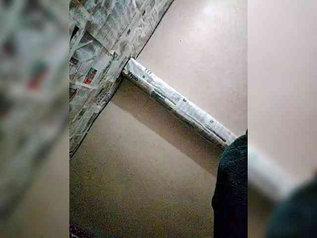 MoLoDoII763