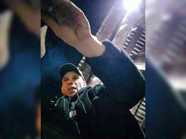 MoLoDoII763