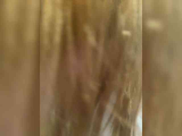 _Cocobeach_ webcam