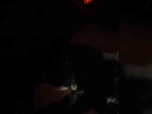 _Cocobeach_ webcam