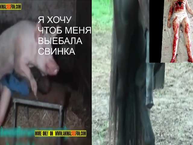 PolinaMayner