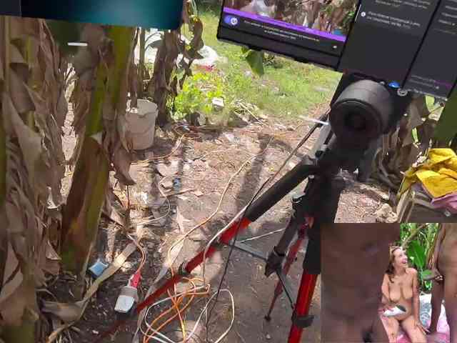 JungleFeverVR