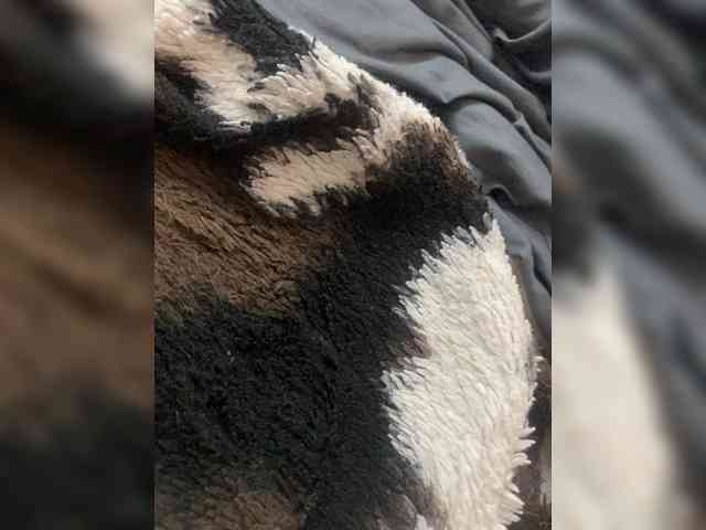 Tanyamm1 webcam