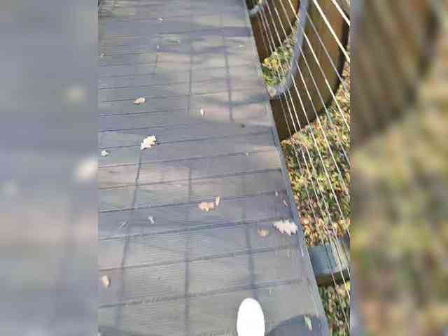 Aiaa