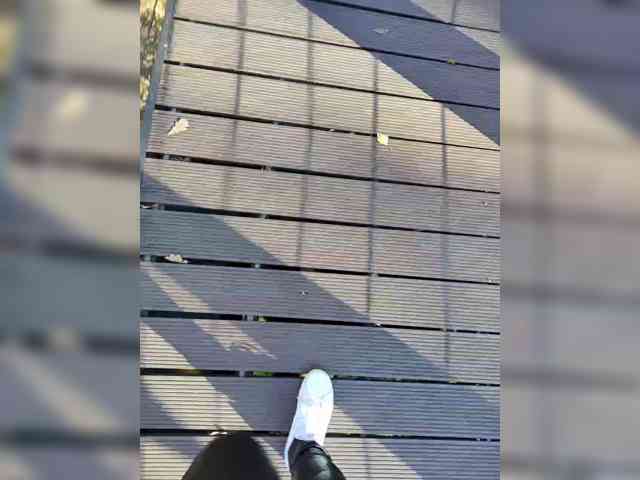 Aiaa