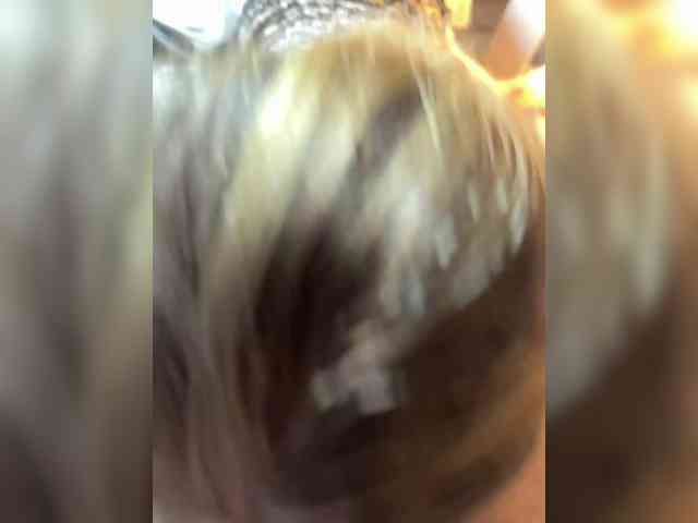 MakGeri webcam