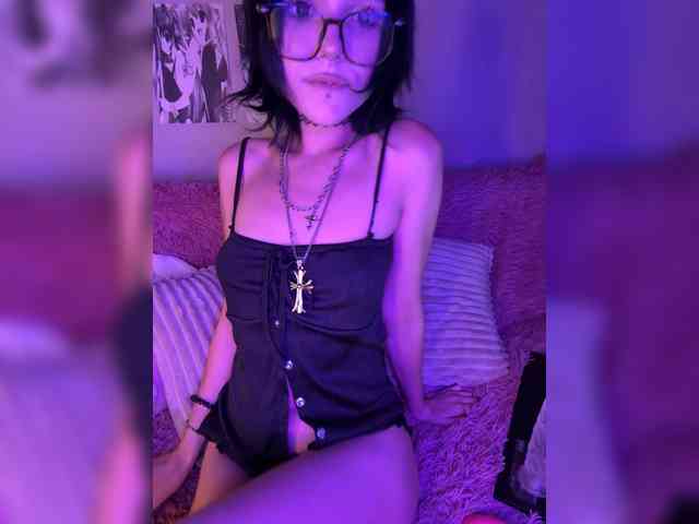 Модель: SweetsCat