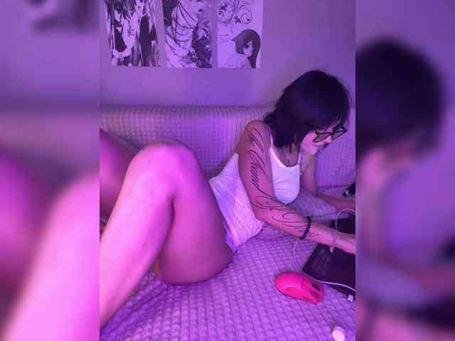 SweetsCat webcam