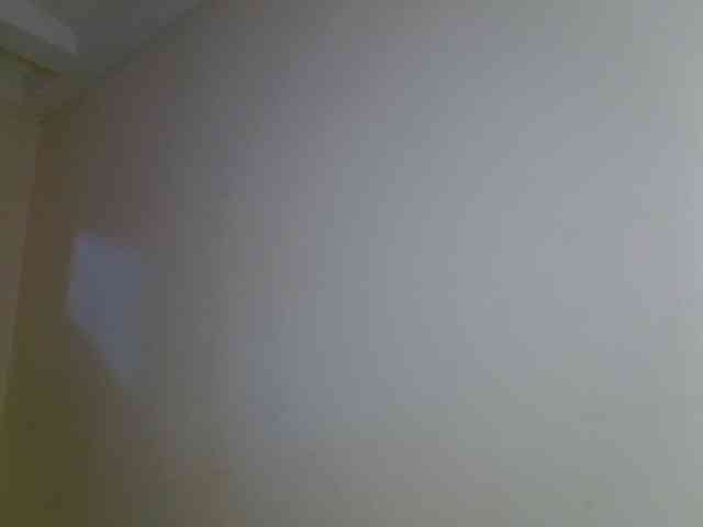 Babydvia webcam