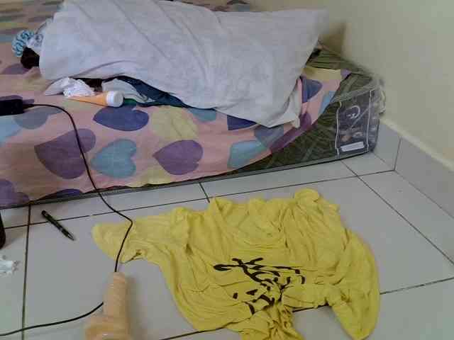 Babydvia webcam