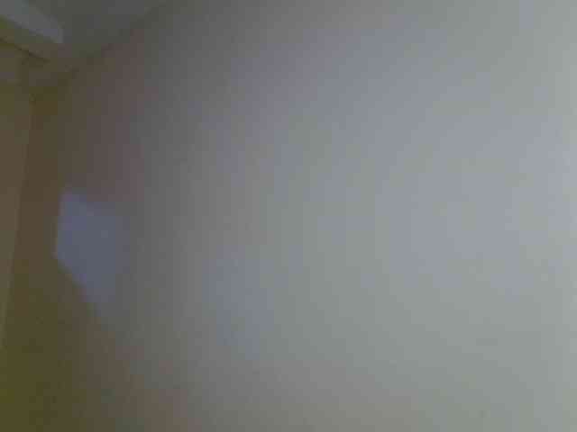 Babydvia webcam