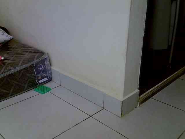 Babydvia webcam
