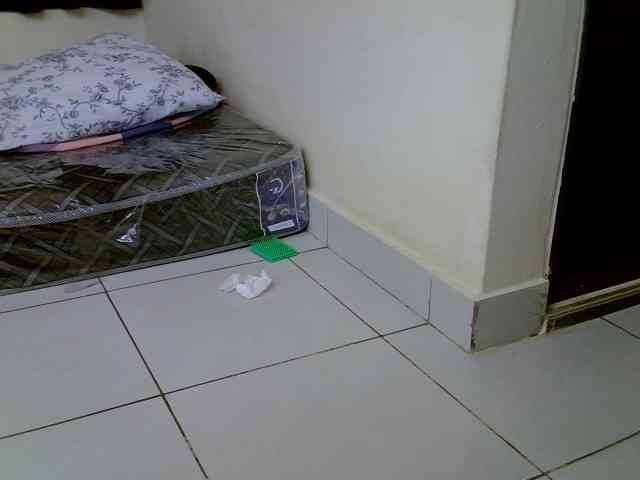 Babydvia