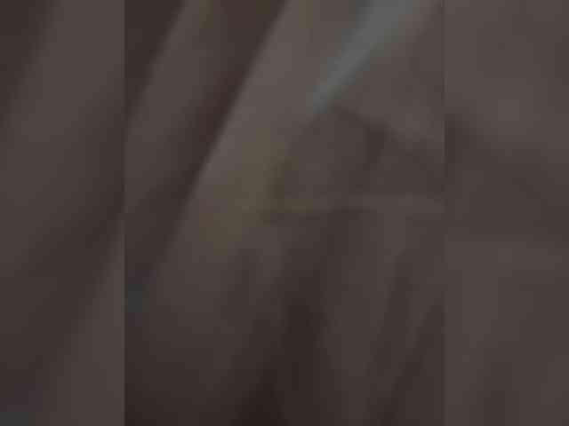 Lixedis webcam