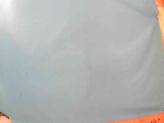 Tania6668 webcam