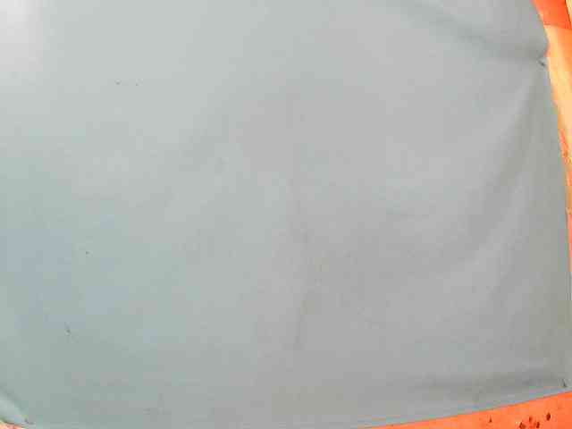 Tania6668 webcam