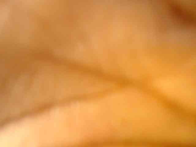 Cherrydoll8 webcam