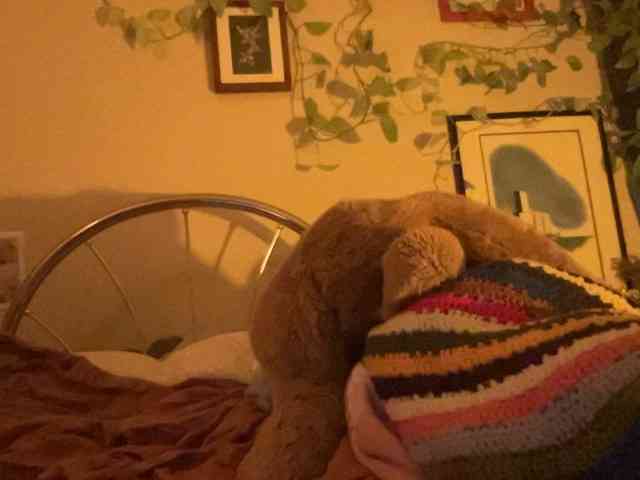 monaroeee